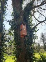 Owl nesting box fixed to tree
